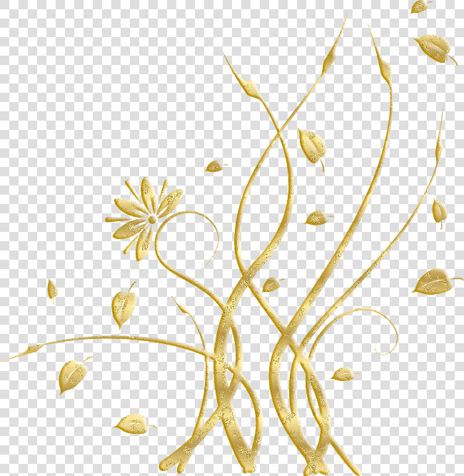 Ornement   Floral  HD Png DownloadTransparent PNG