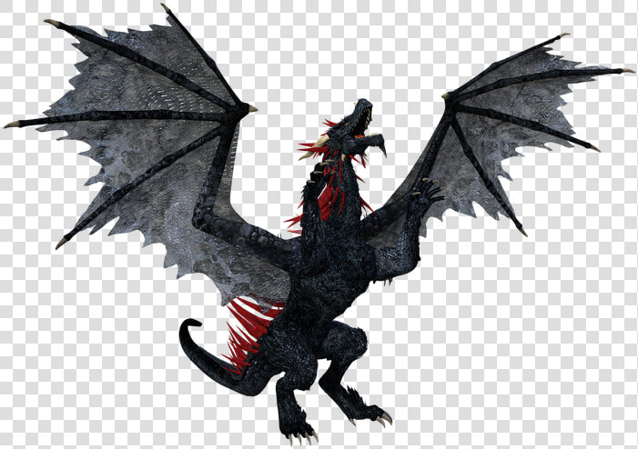 Dragon  Black Dragon  Animal  Reptile  Lizard  Fantasy   Dragon  HD Png DownloadTransparent PNG