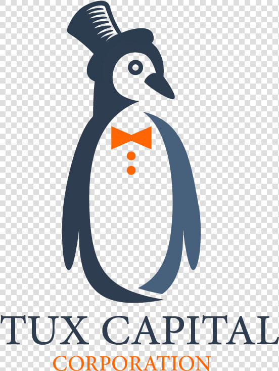 Tux  HD Png DownloadTransparent PNG