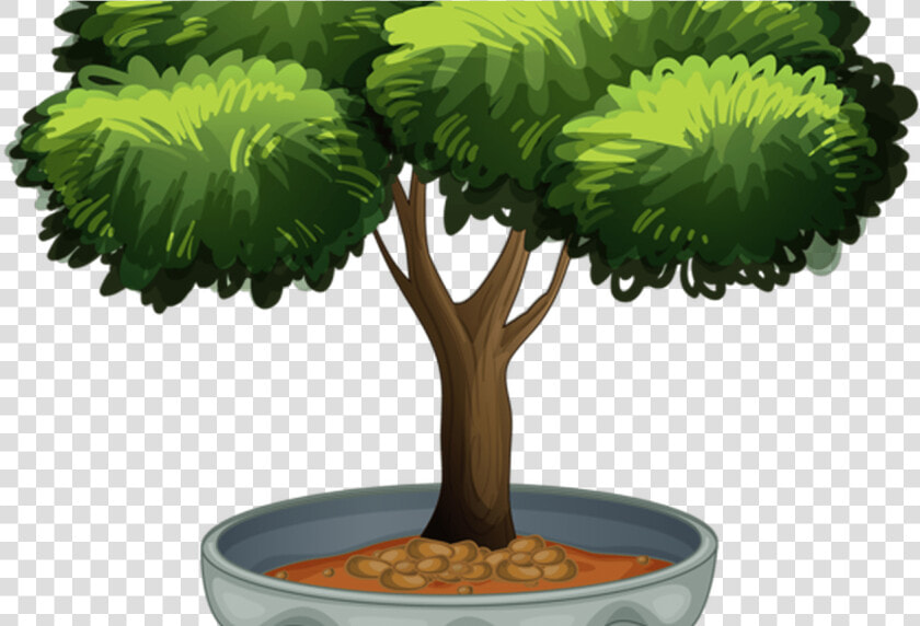 Potted Topiary Clip Art Potted Plants Clip Art Pinterest   Flowering And Non Flowering Plants Cartoons  HD Png DownloadTransparent PNG