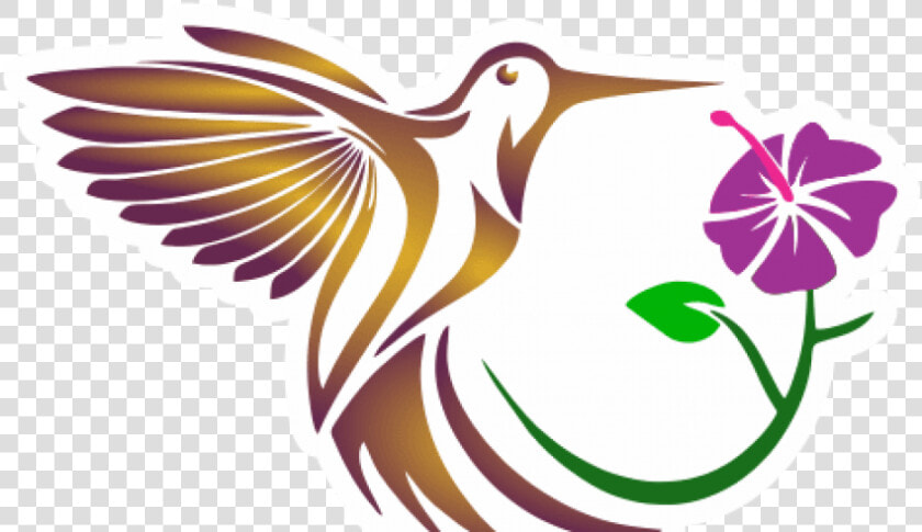 Free Png Download Aves Exoticas De Colombia Png Images   Birding Colombia  Transparent PngTransparent PNG