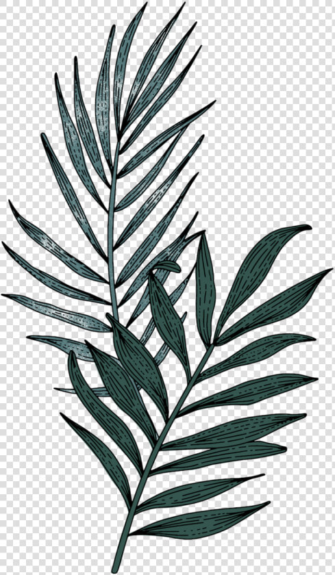 Amber Dawn Color Illustrations 08 Copy   Illustration  HD Png DownloadTransparent PNG