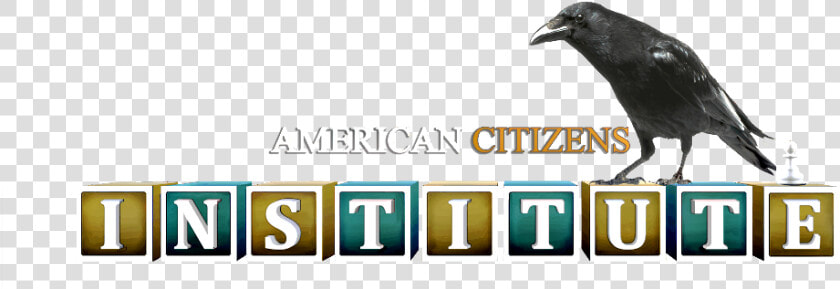 American Citizens Institute Logo   American Crow  HD Png DownloadTransparent PNG