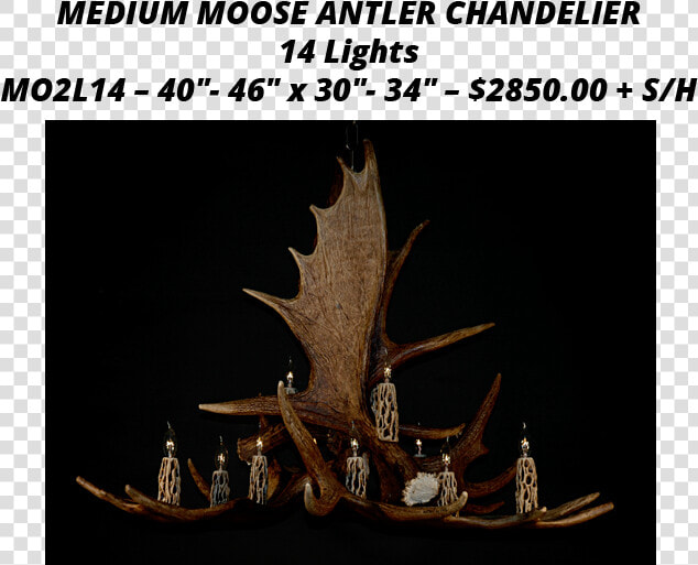 Moose Antler Chandeliers   Deer  HD Png DownloadTransparent PNG