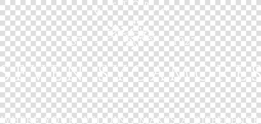 Microsoft Teams Logo White  HD Png DownloadTransparent PNG