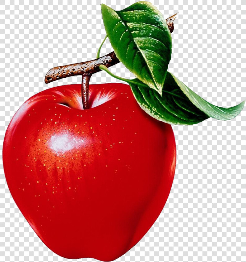 Rubrics Graphic Royalty Free Library   Apple Fruits  HD Png DownloadTransparent PNG