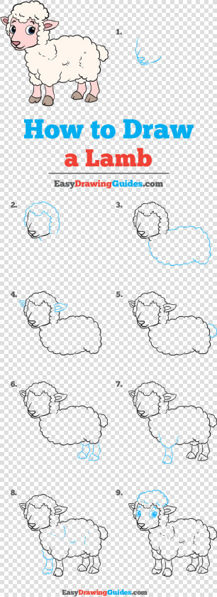 How To Draw Lamb   Draw Kylo Ren Easy  HD Png DownloadTransparent PNG