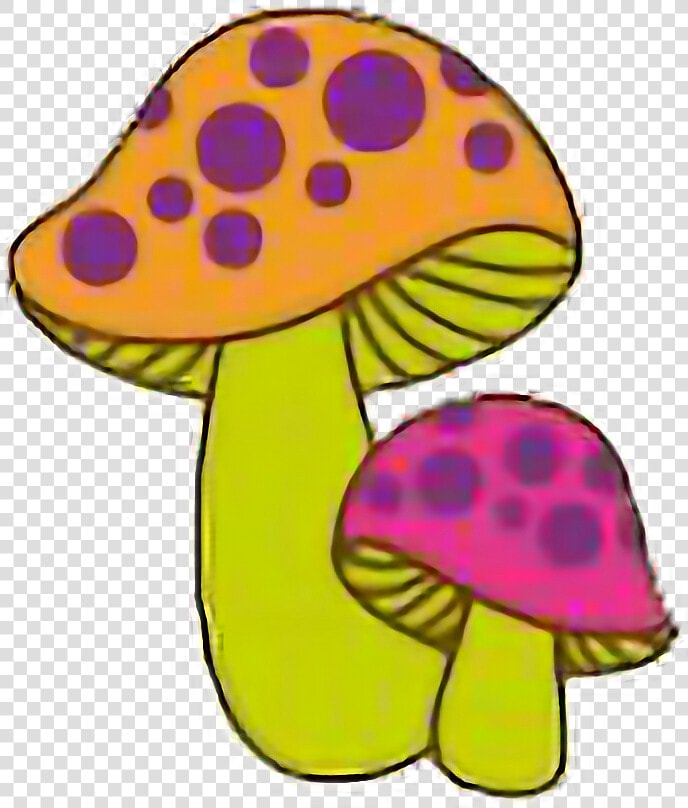  mushrooms  psychedelic  trippy  shrooms  natnat7w  HD Png DownloadTransparent PNG