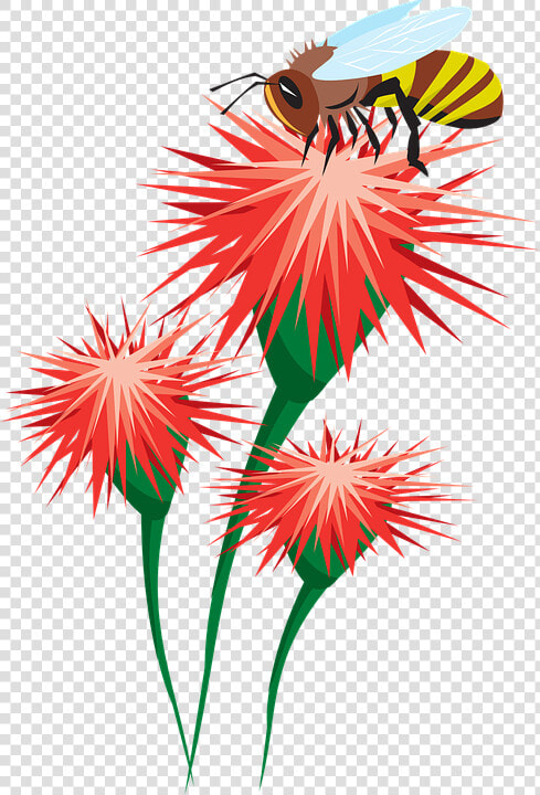 Abeja  Flores  Polinización  Polen  Recopilación   Bee On Flower Clipart  HD Png DownloadTransparent PNG