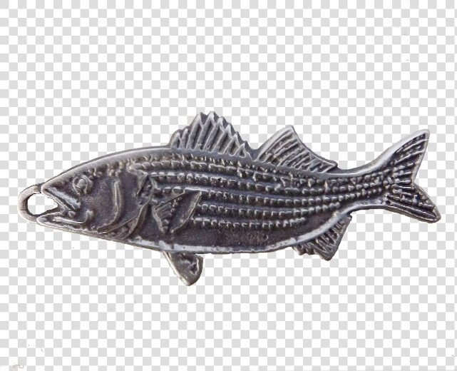 Transparent Striper Png   Striper Bass  Png DownloadTransparent PNG