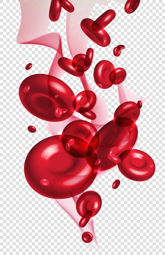 Pool Of Blood Png   Blood Cells Image Png  Transparent PngTransparent PNG