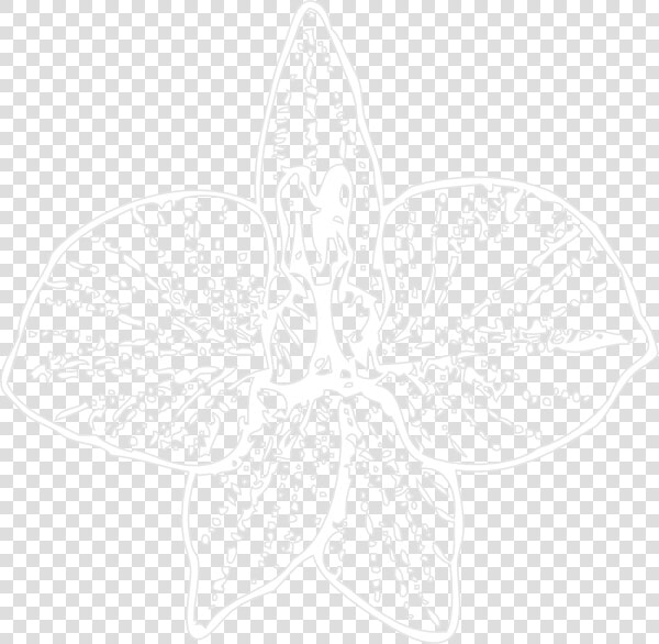 White Orchid Outline Svg Clip Arts   Orchid  HD Png DownloadTransparent PNG