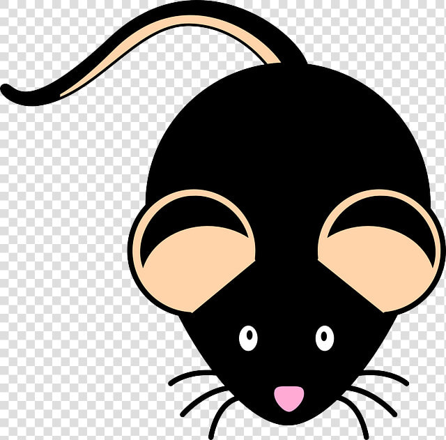 Researchers Study Mohawk Mice With Genetic Mutation   Black Mouse Clipart  HD Png DownloadTransparent PNG