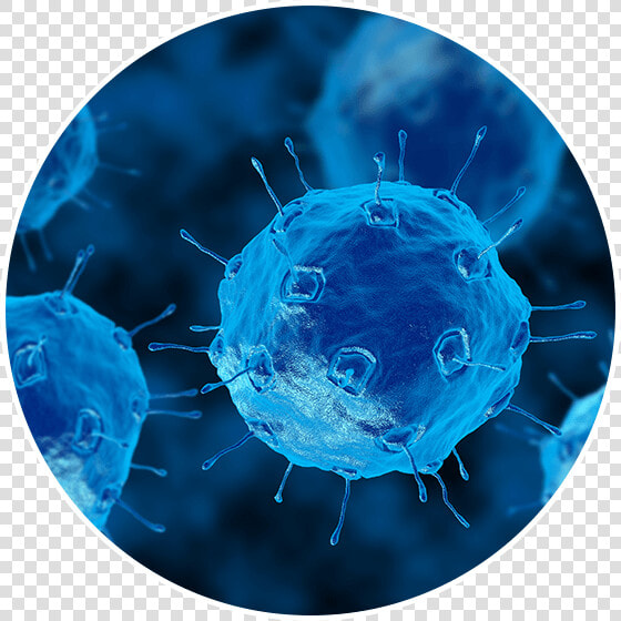 Microbes Bacteria  HD Png DownloadTransparent PNG