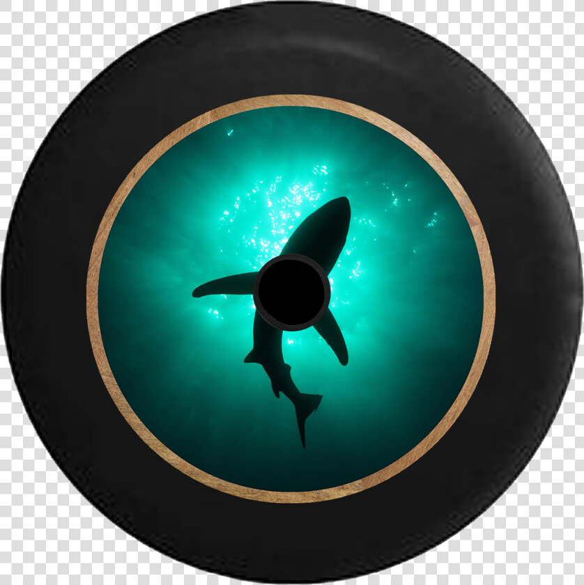 Jeep Wrangler Jl Backup Camera Shark Silhouette In   Shark  HD Png DownloadTransparent PNG