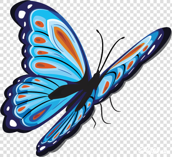 Бабочки Png Клипарт Для Дизайна   Бабочки Png  Transparent PngTransparent PNG