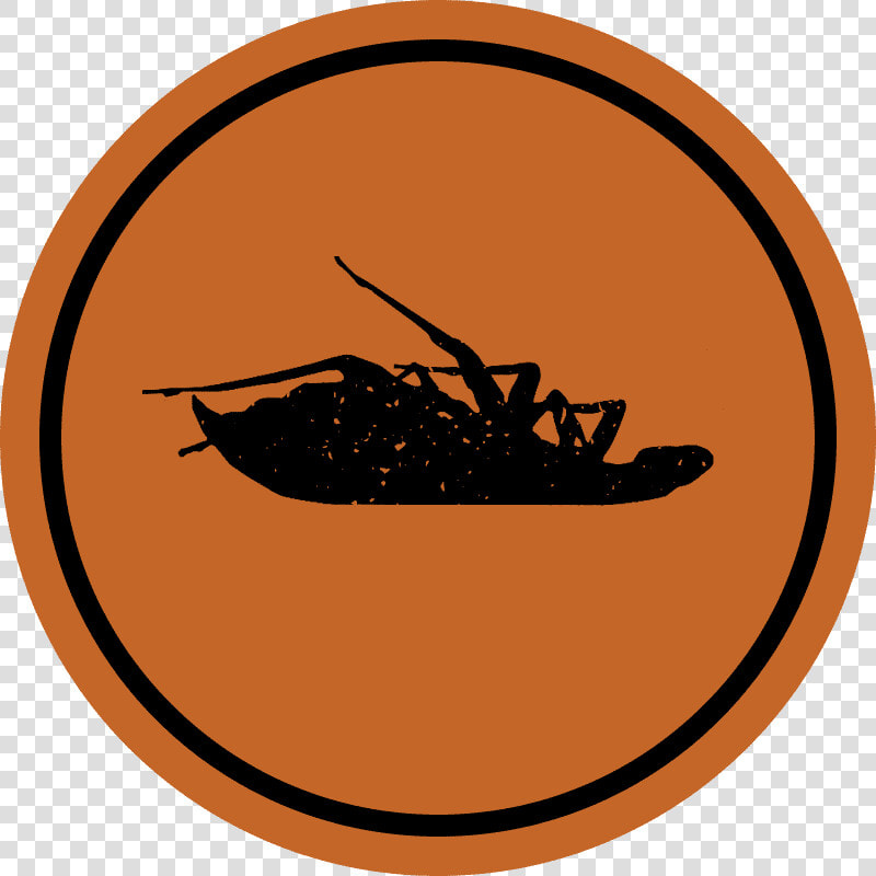 Papa Roach  HD Png DownloadTransparent PNG