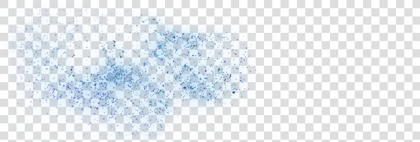 Bird Migration   Bird  HD Png DownloadTransparent PNG