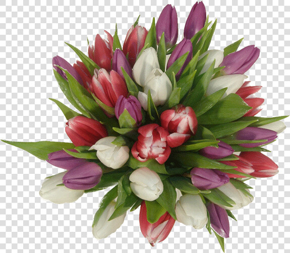 Ramos De Novia Con Tulipanes  HD Png DownloadTransparent PNG
