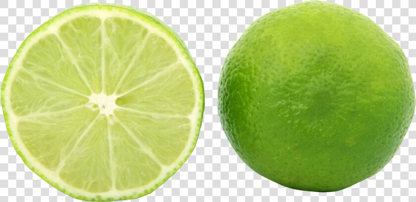 Half Cut Lemon Png Image   Green Half Lemon Png  Transparent PngTransparent PNG