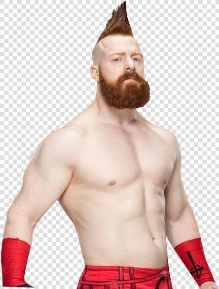 Sheamus 2018 Sheamus Wwe Champion Png Transparent Png   Sheamus Png 2018  Png DownloadTransparent PNG