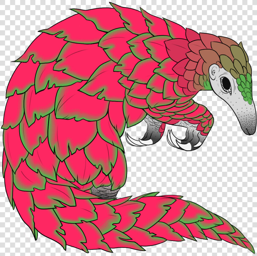 Pangolin Clipart Transparent  HD Png DownloadTransparent PNG