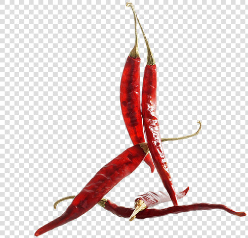 Seafood  HD Png DownloadTransparent PNG