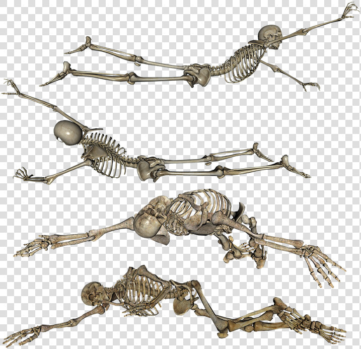 Skeleton  Laying  Crawling  Dead  Skull  Bones   Skeleton Lying Down Drawing  HD Png DownloadTransparent PNG
