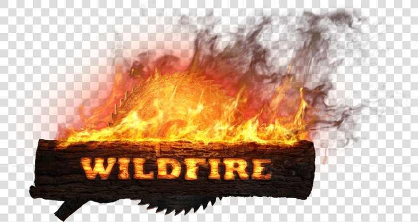 Flame   Png Download   Flame  Transparent PngTransparent PNG