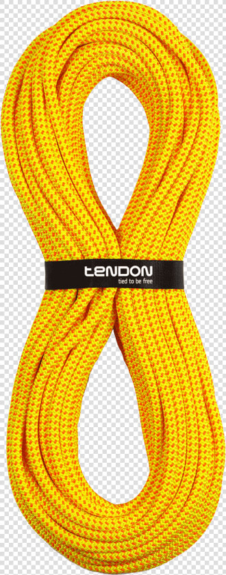 Tendon Timber Evo   Day Dress  HD Png DownloadTransparent PNG