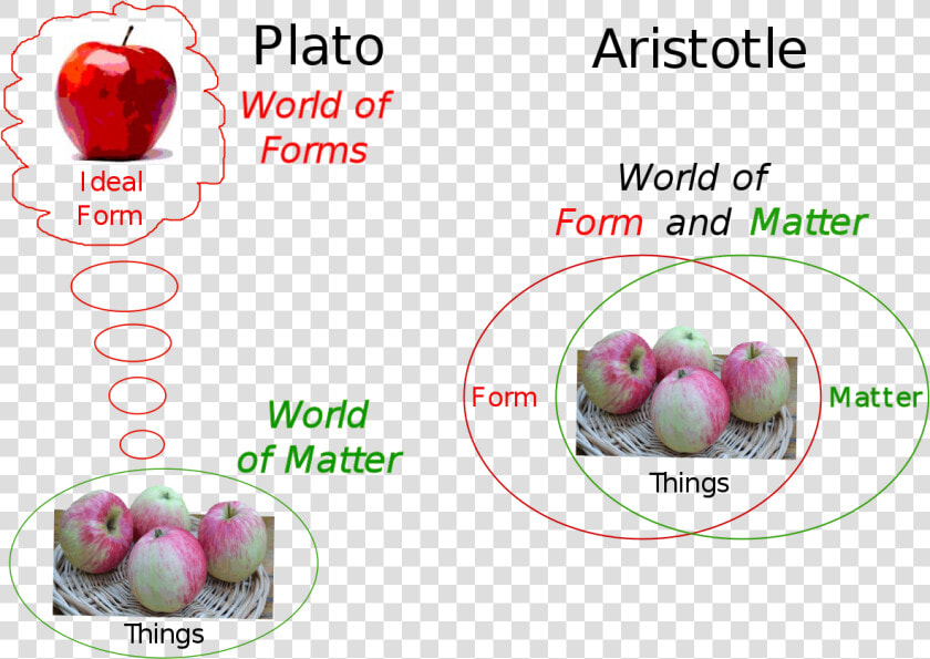 Aristotle  39 s Theory Of Universals  HD Png DownloadTransparent PNG
