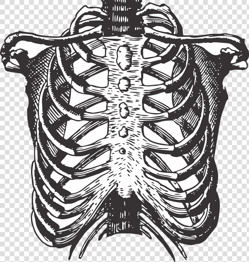 Transparent Png Body Parts   Rews Can You Feel  Png DownloadTransparent PNG