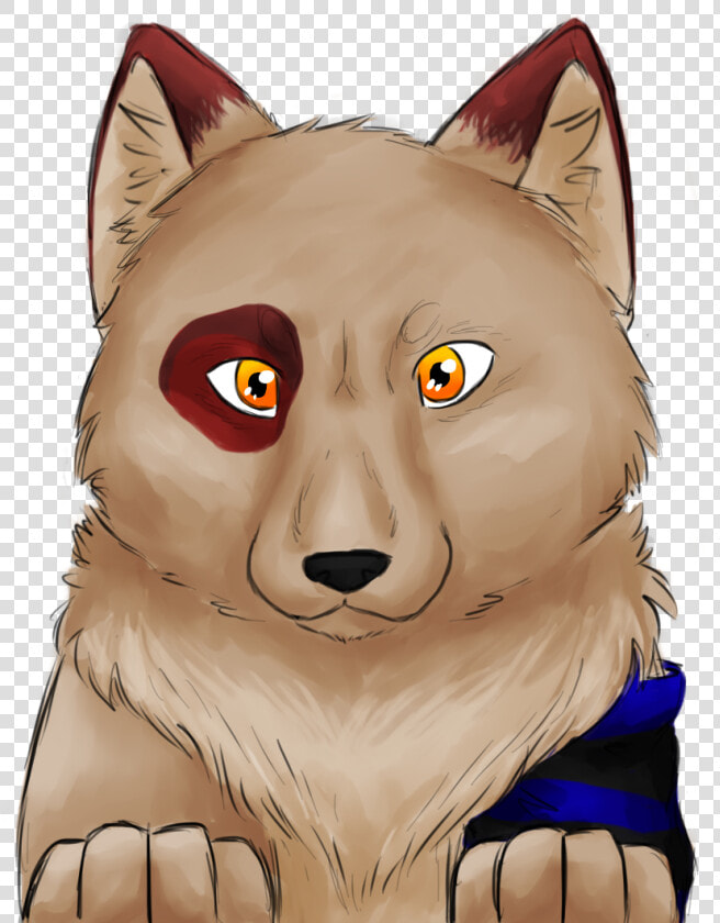 Whiskers Cat Dog Snout   Cartoon  HD Png DownloadTransparent PNG