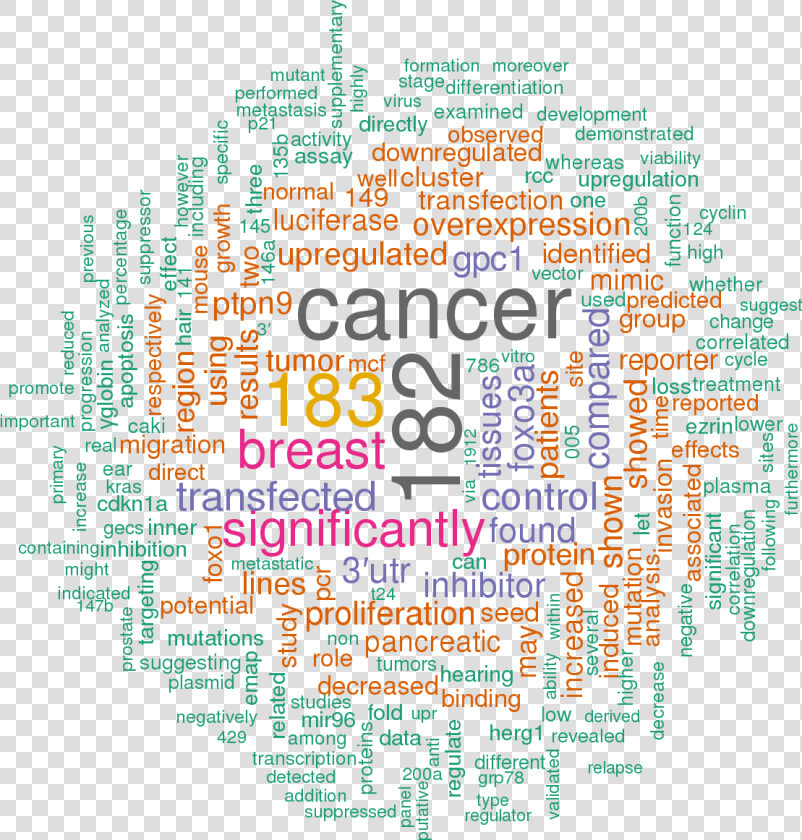 Mir 99b Target Luciferase Assay  HD Png DownloadTransparent PNG