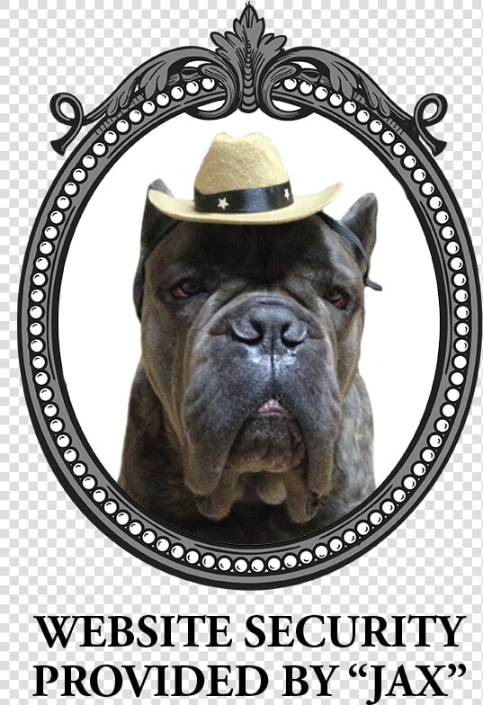 Jax   Cane Corso  HD Png DownloadTransparent PNG