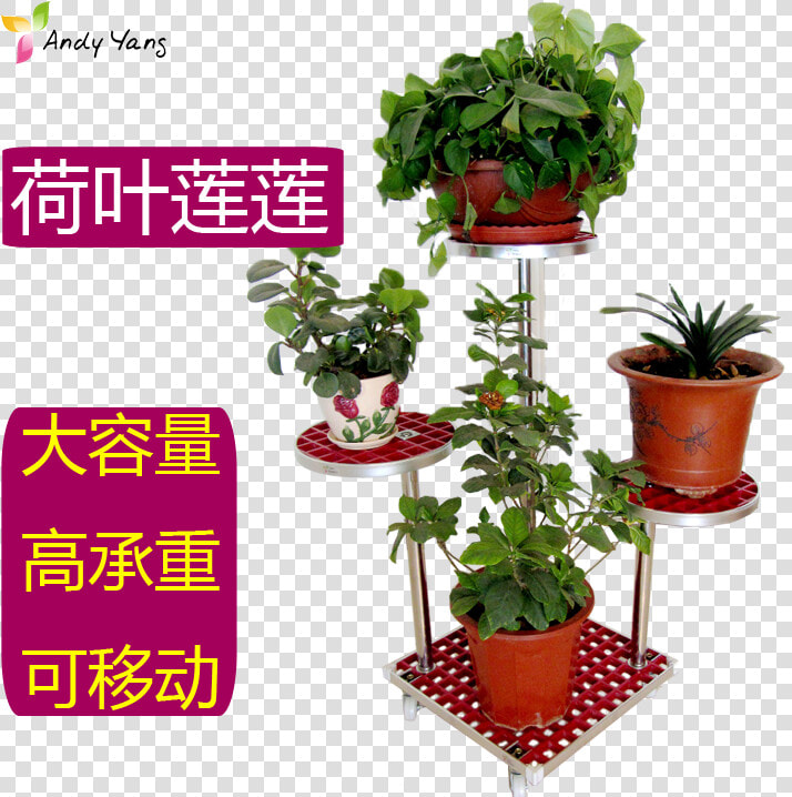 Houseplant  HD Png DownloadTransparent PNG