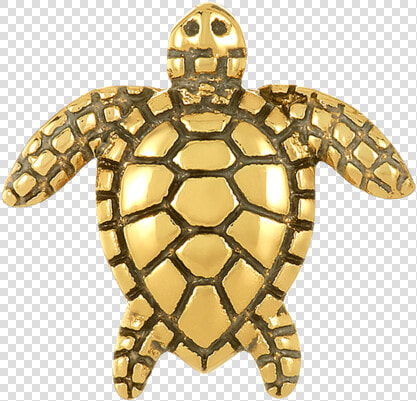Golden Sea Turtle Bead   Kemp  39 s Ridley Sea Turtle  HD Png DownloadTransparent PNG