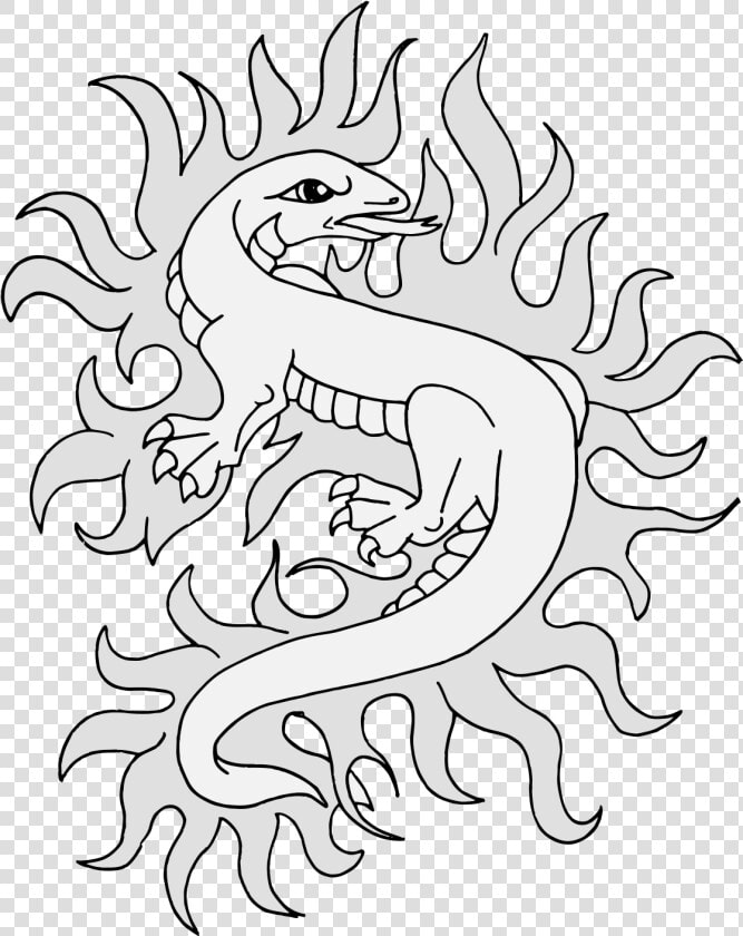 Salamander Png  Transparent PngTransparent PNG