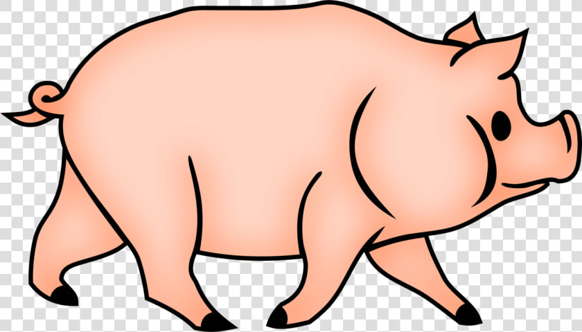 Wildlife neck domestic Pig   Cerdos Conncara De Simio Dibujo  HD Png DownloadTransparent PNG