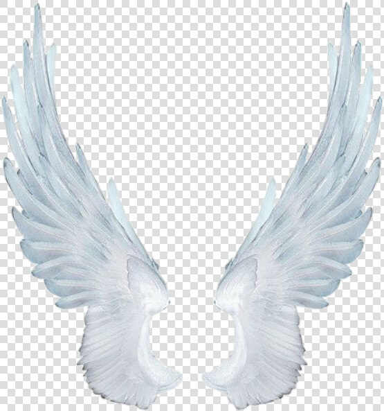  wing  fairy  fairywing  sky  fly  wings  wingsofanangel   White Angel Wings  HD Png DownloadTransparent PNG