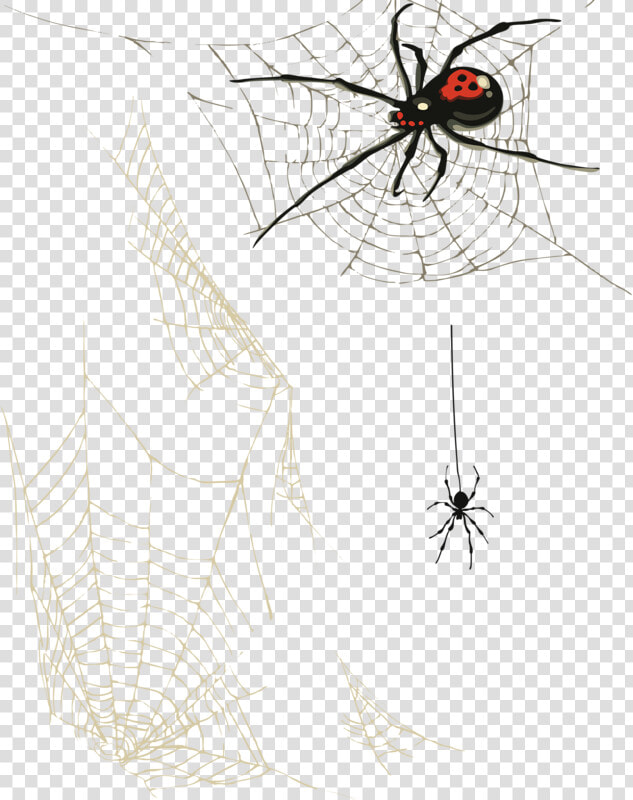 Transparent Corner Spider Web Png   Toile D Araignee Png  Png DownloadTransparent PNG