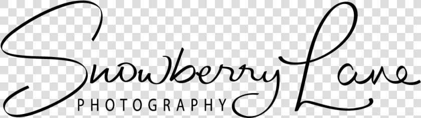 Snowberry Lane Photography Logo   Calligraphy  HD Png DownloadTransparent PNG