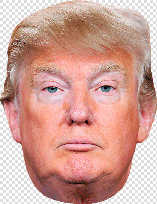Donald Trump Rapist  HD Png DownloadTransparent PNG