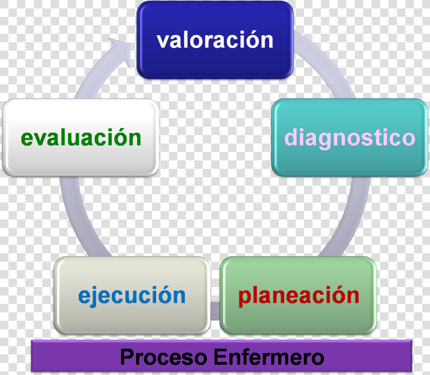 Etapas Del Proceso Enfermero  HD Png DownloadTransparent PNG