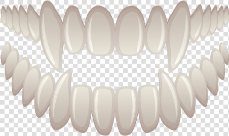 Fang Png Transparent Image   Transparent Fang Png  Png DownloadTransparent PNG