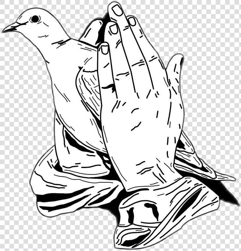 Transparent Worship Hands Png   Prayer Hands With Dove  Png DownloadTransparent PNG