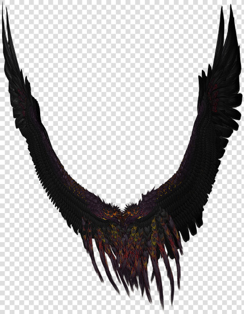 Wing  Angel  Fly  Gold  Black  Png  Isolated  3d   Portable Network Graphics  Transparent PngTransparent PNG