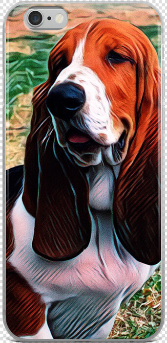 Basset Hound  HD Png DownloadTransparent PNG