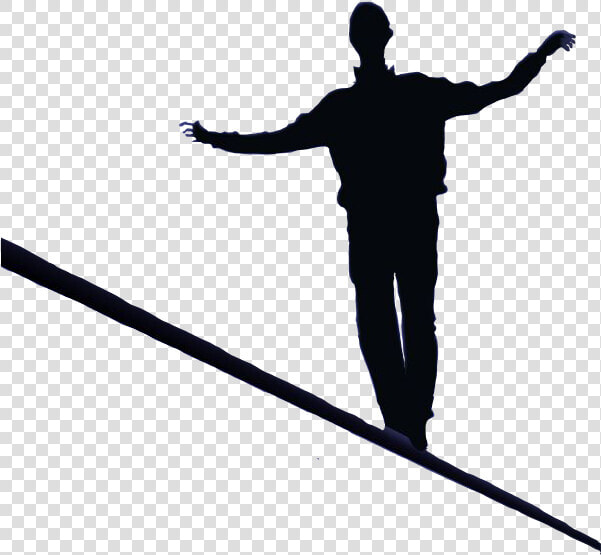 Transparent Dragonfly Silhouette Png   Silhouette On A Tightrope  Png DownloadTransparent PNG