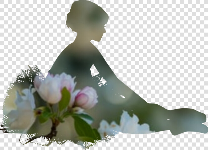  ballerina  silhouette  bloom  elegant   Christianity  HD Png DownloadTransparent PNG